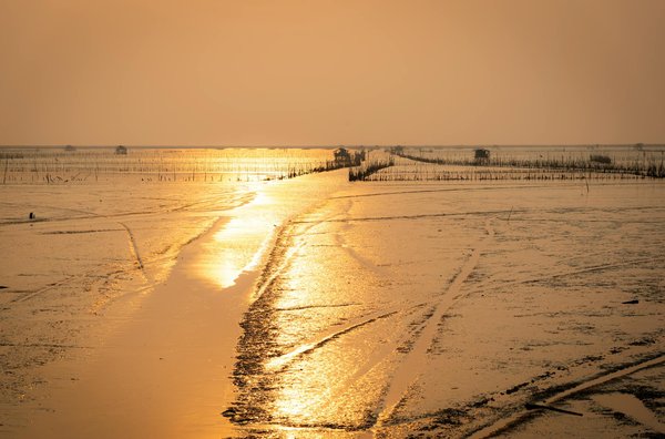 Les meilleures applis mobiles pour louer une caravane sans tracas